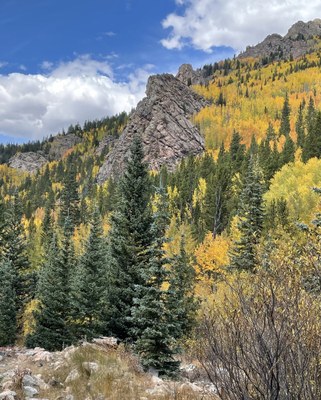 Hiking – Three Mile Creek Hiking – Three Mile Creek