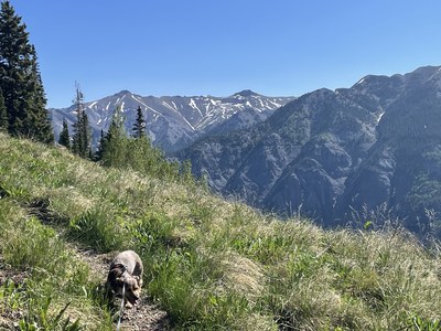 Hiking – Weminuche trail #818 (near Creede) Hiking – Weminuche trail #818 (near Creede)
