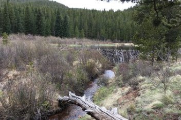Hiking – Wigwam Trail via Wigwam Trailhead
