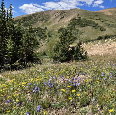 Hiking – Mt Machebeuf (12,805) ridge hike, mostly off trail