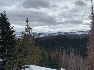 Intermediate Snowshoe – Blue Lake TH - Sawmill Creek Trail