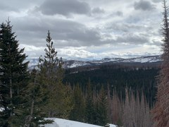 Intermediate Snowshoe – Blue Lake TH - Sawmill Creek Trail