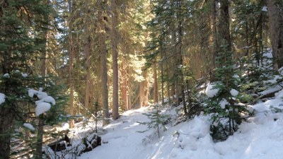 Intermediate Snowshoe – Brainard Lake Rec Area - Winter Gateway Intermediate Snowshoe – Brainard Lake Rec Area - Winter Gateway