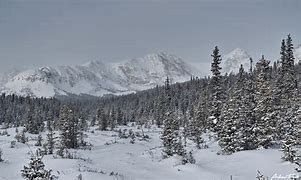 Intermediate Snowshoe – Brainard Lake Rec Area - Winter Gateway Intermediate Snowshoe – Brainard Lake Rec Area - Winter Gateway