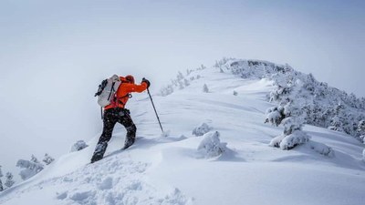 Intermediate Snowshoe – Montgomery Pass