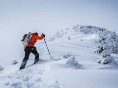 Intermediate Snowshoe – Montgomery Pass