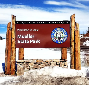Intermediate Snowshoe – Mueller State Park Snowshoe - Rock Pond-Outlook Ridge Loop