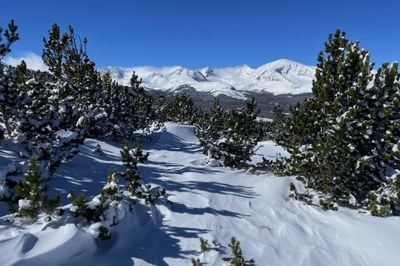 Intermediate Snowshoe – Niwot Mountain