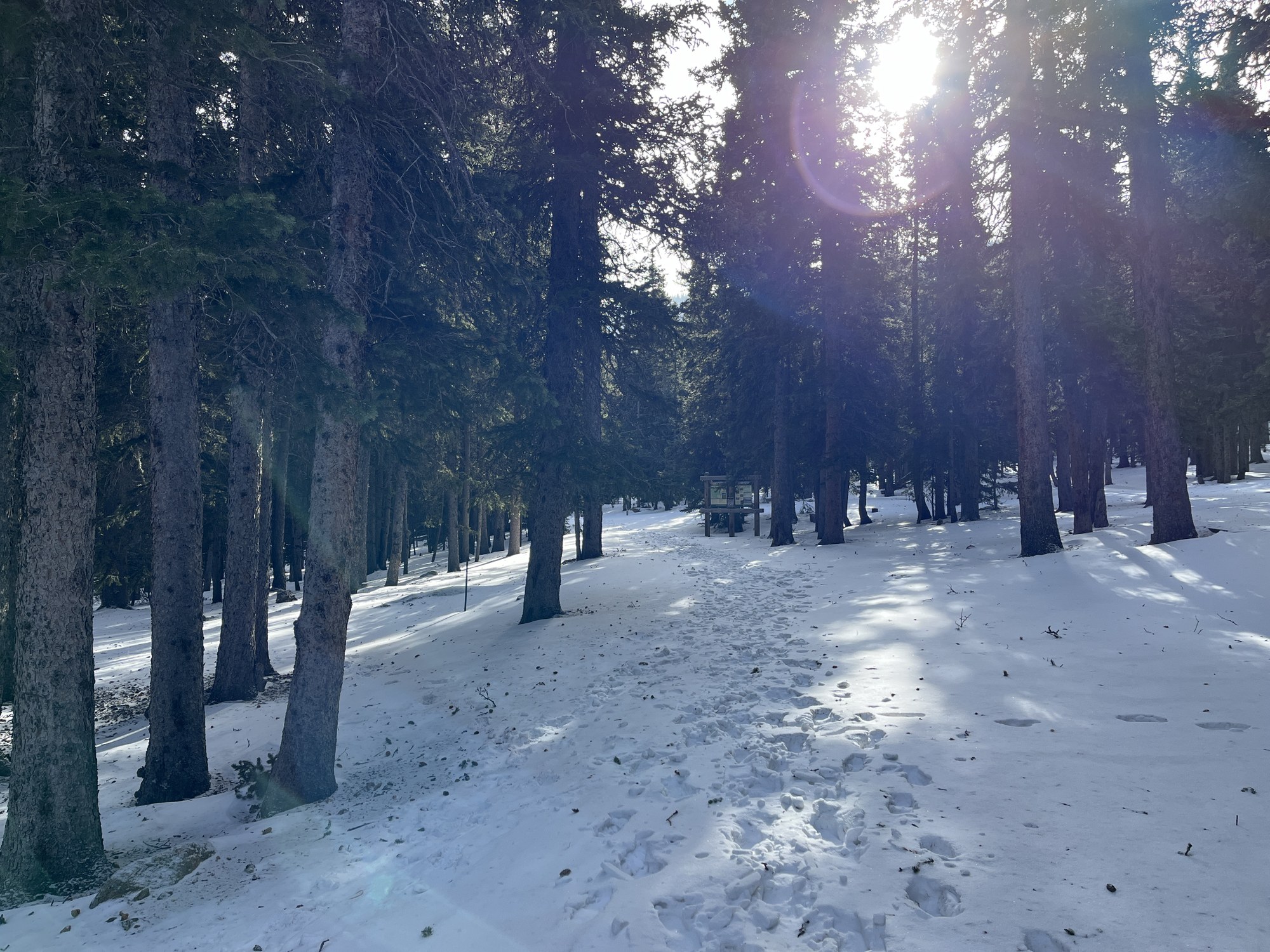 Intermediate Snowshoe Resthouse Trail from Echo Lake Campground — The