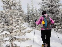 Intermediate Snowshoe – St. Elmo to Hancock Pass