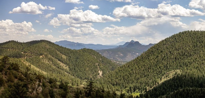 Leader in Training (LIT) Trip – Reynolds Park - Songbird and Eagle's View Trails