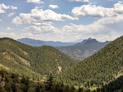 Leader in Training (LIT) Trip – Reynolds Park - Songbird and Eagle's View Trails