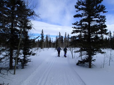 Nordic Skiing – Divide Road Nordic Area Nordic Skiing – Divide Road Nordic Area