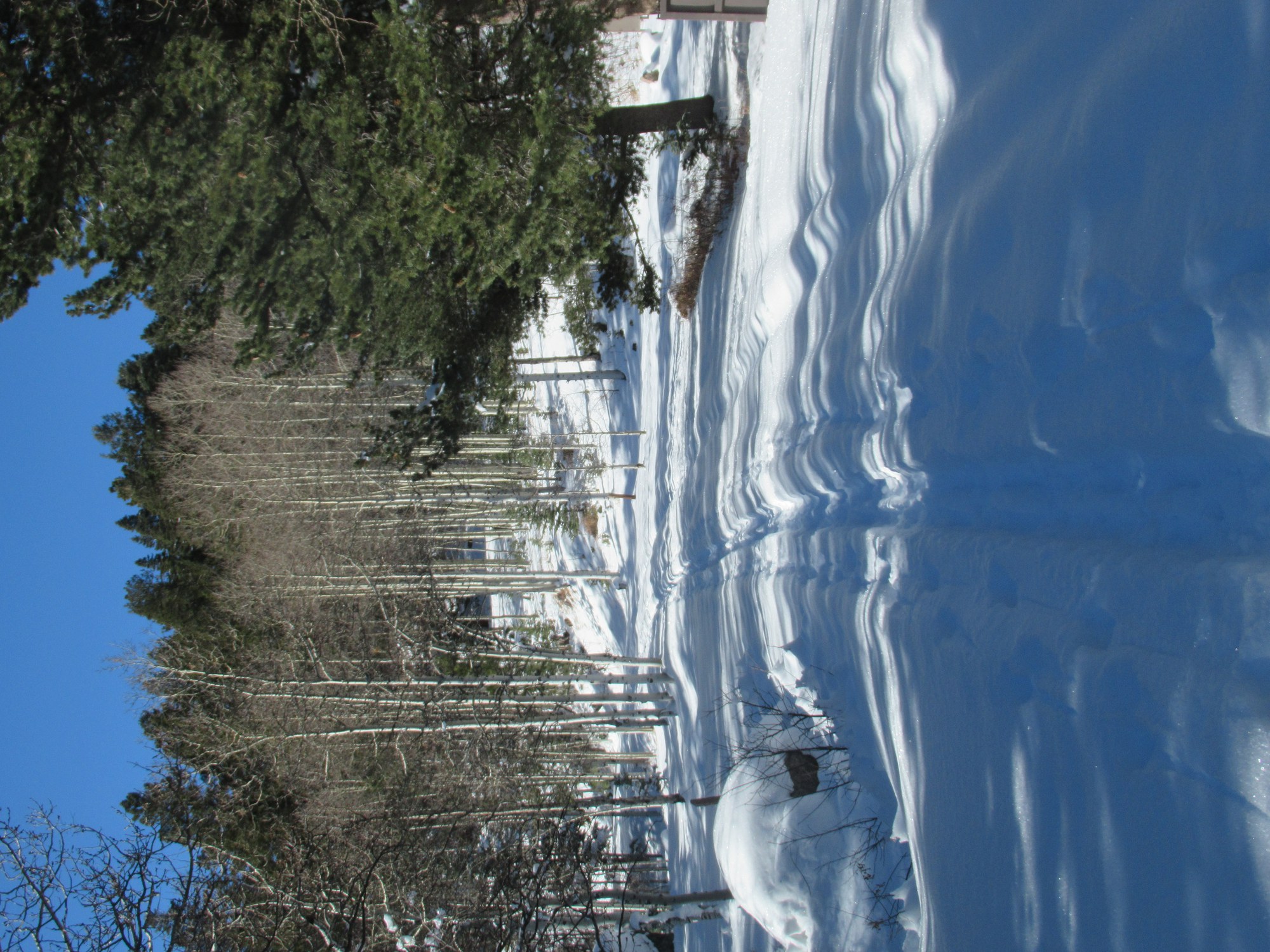 Nordic Skiing Lake Isabel Recreation Area — The Colorado Mountain Club