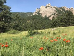 RMOTHG Trip – Boulder Open Space - Fowler Trail