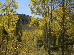 RMOTHG Trip – Golden Gate Canyon State Park - Horseshoe Trail to Frazer Meadow