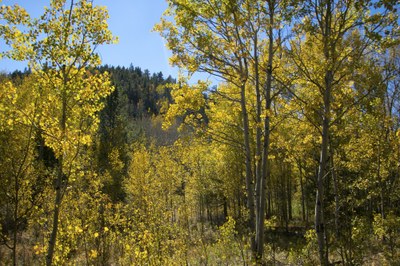 RMOTHG Trip – Golden Gate Canyon State Park - Horseshoe Trail to Frazer Meadow