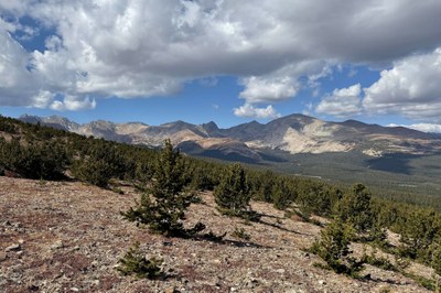 RMOTHG Trip – IPW - Niwot Mountain