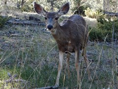 RMOTHG Trip – Staunton State Park RMOTHG Trip – Staunton State Park