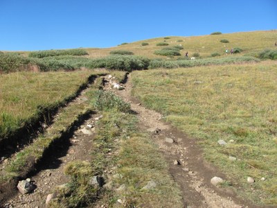 Trail Maintenance – Guanella Pass