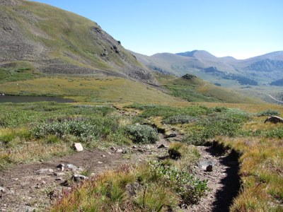 Trail Maintenance – Guanella Pass