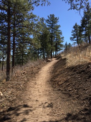Trail Run – North Cheyenne Canyon Park