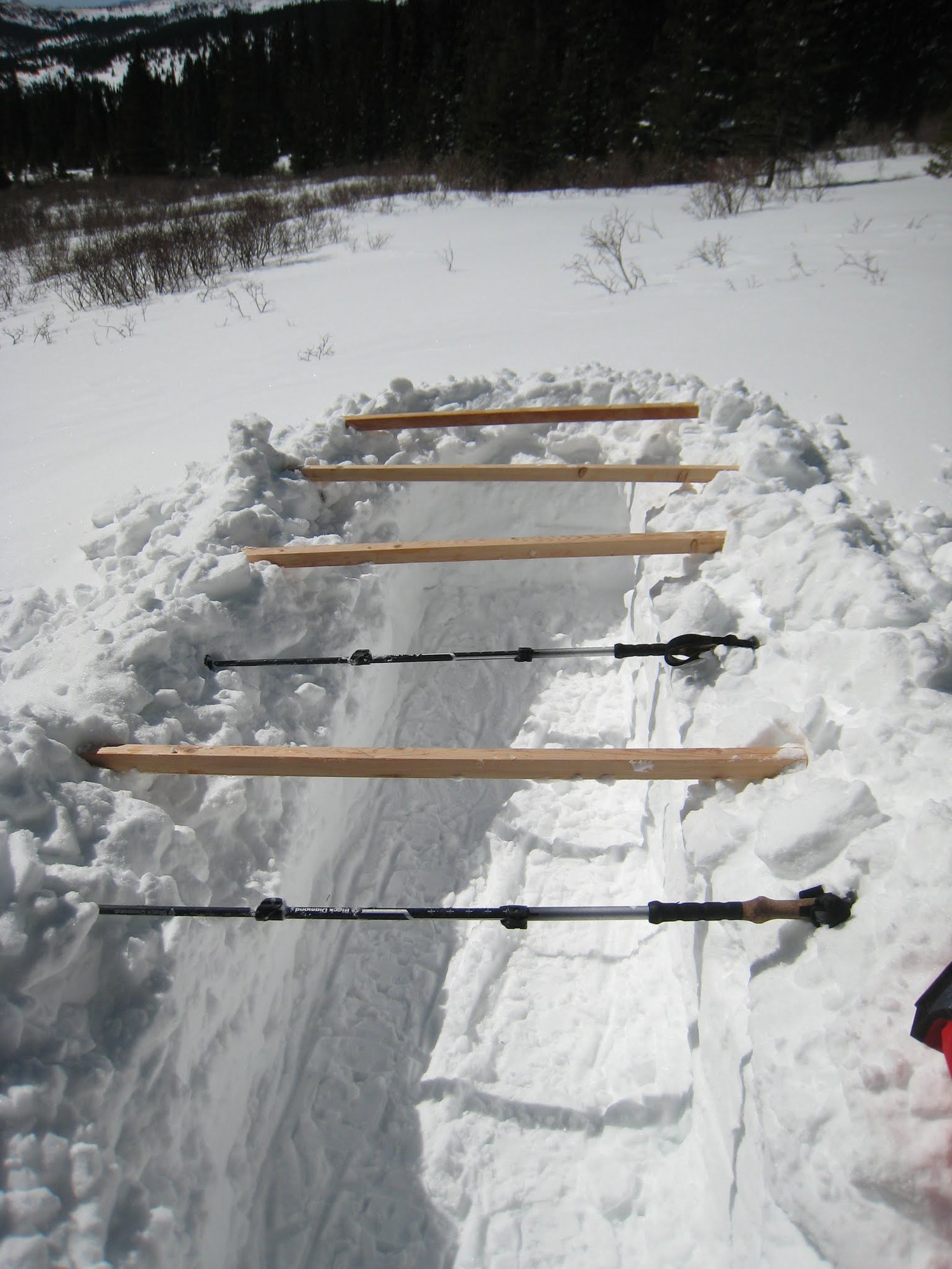 Nala's Epic Winter Wilderness Survival!