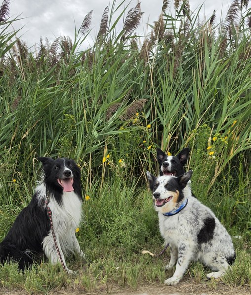 Hobson Trail