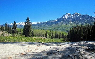 BPX 4-Day: West Elk Wilderness: Mill Castle Trail to Lowline Trail Loop