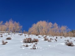 Acorn Creek TH