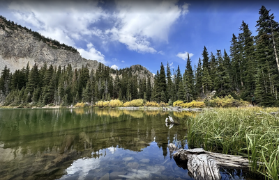 American Lake Trail