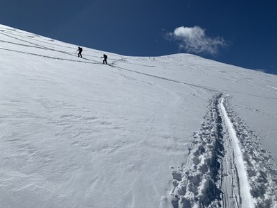 Baldy Bowl