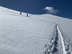 Baldy Bowl Baldy Bowl