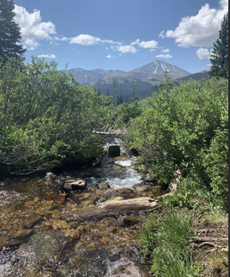 Bard Creek Trail