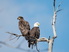 Barr Lake State Park