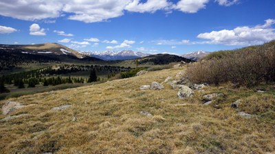 Ben Tyler Trail