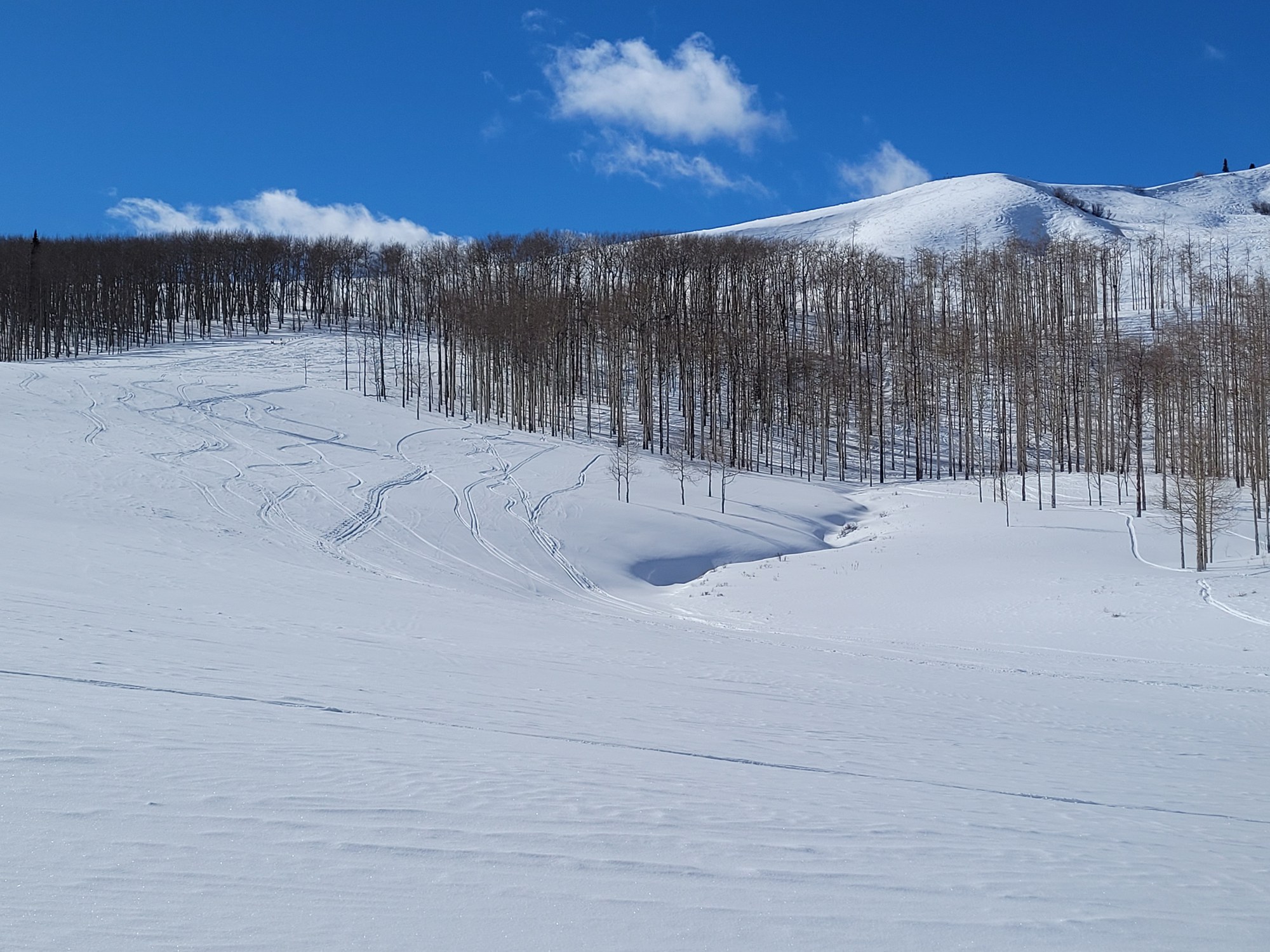 Bluebird Backcountry Ski Area at Bear Mountain — The Colorado Mountain Club
