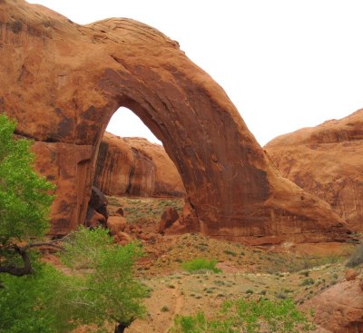 BPX 3-Day: 40 mile Creek to Willow Gulch (Escalante, Utah)