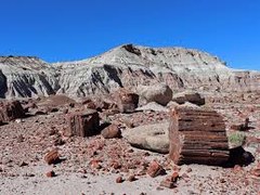 BPX 5-Day: Escalante Petrified Forest State Park Campground BPX 5-Day: Escalante Petrified Forest State Park Campground