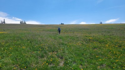 BPX 3-Day: Continental Divide and Red Canyon