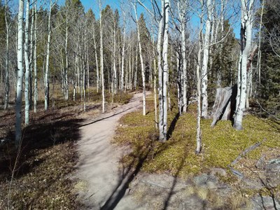 BPX 3-Day: Golden Gate Canyon State Park Reverend's Ridge or Aspen Meadow Campgrounds