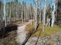 BPX 3-Day: Golden Gate Canyon State Park Reverend's Ridge or Aspen Meadow Campgrounds