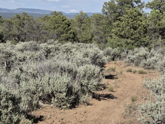 Burn Canyon Trail System