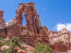 Canyonlands Needles District