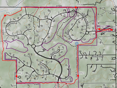 Cathedral Pines Trail Cathedral Pines Trail
