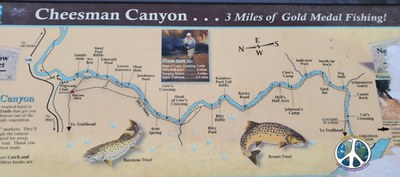 Cheesman Canyon