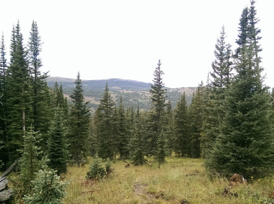 Corral Creek Trail