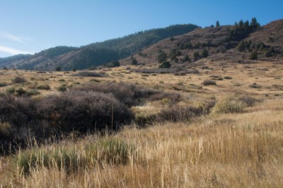 Deer Creek Canyon Park