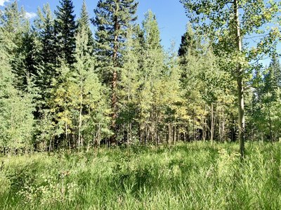 Deer Creek Trailhead and the Tanglewood Trail