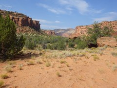 Dominguez Canyon Trail